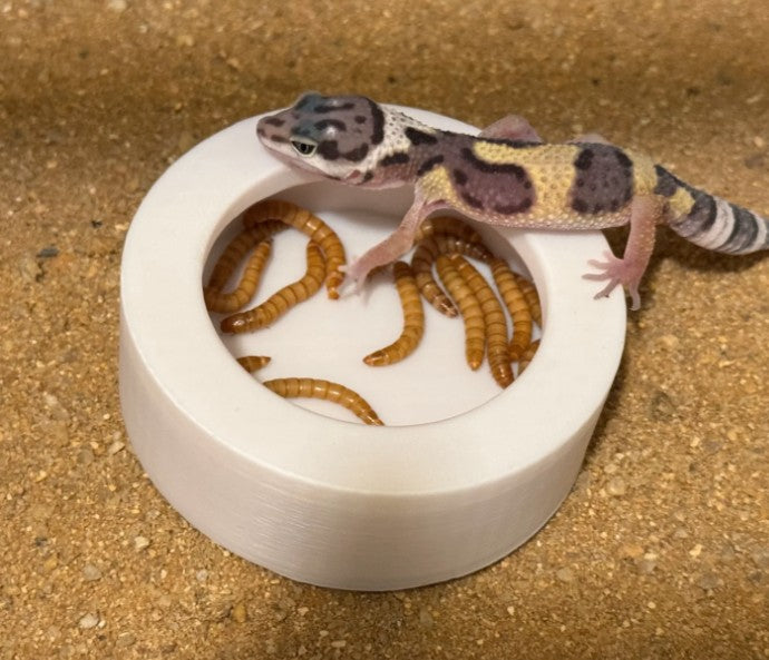 Escape Proof Food Dish