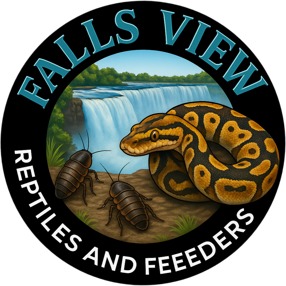 Falls View Reptiles