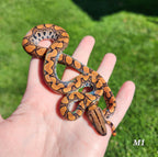 Rainbow Boa Waitlist – 2025 Litter