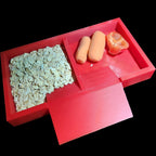 Dual Food Dish with Ramp