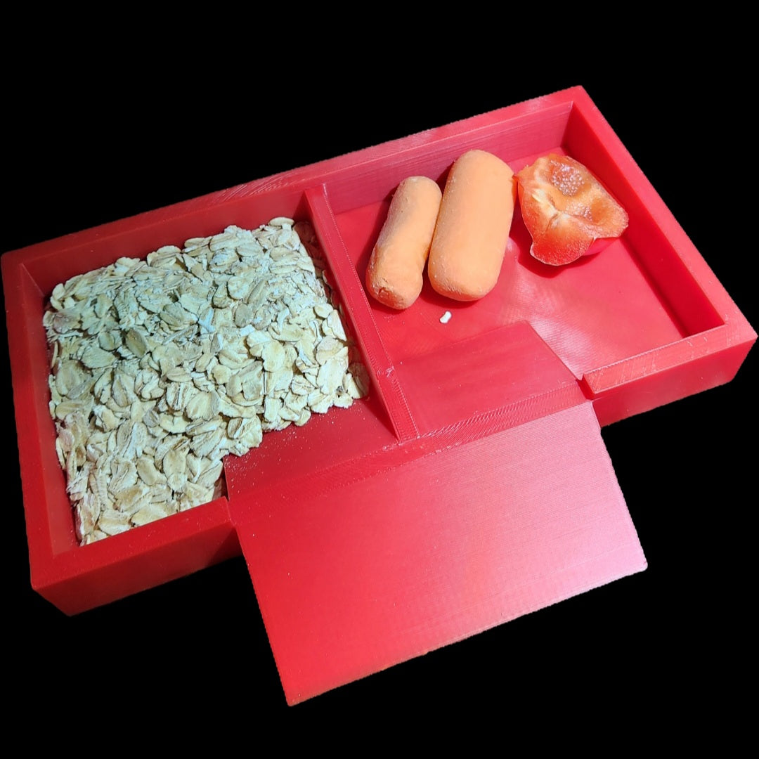 Dual Food Dish with Ramp