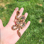 Rainbow Boa Waitlist – 2025 Litter