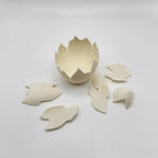 Surprise Dino Egg